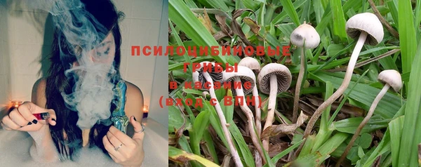 меф Осинники